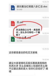 娱乐圈吃瓜pdf文件