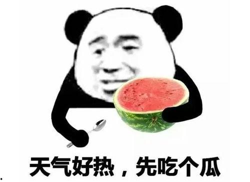 娱乐八卦吃瓜素材热,揭秘明星们的幕后故事与热点事件